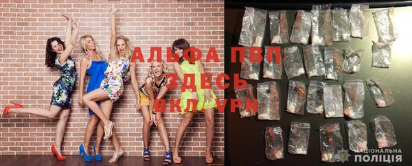 PSILOCYBIN Белокуриха