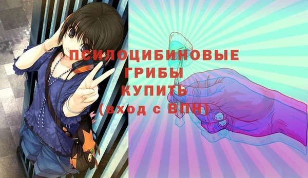 PSILOCYBIN Белокуриха