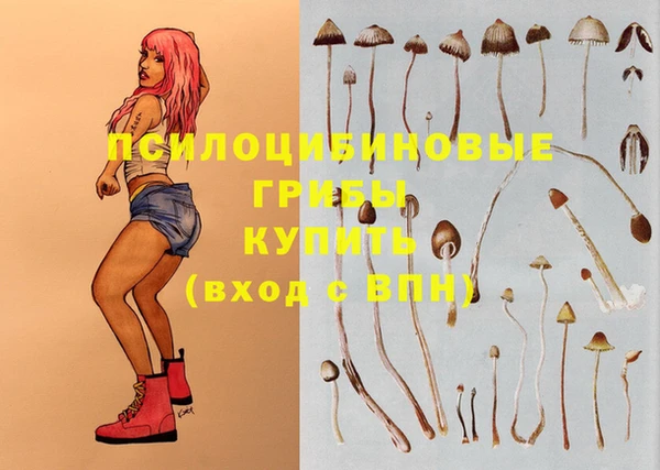 PSILOCYBIN Белокуриха