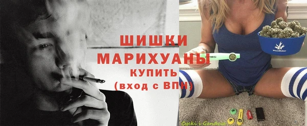 PSILOCYBIN Белокуриха