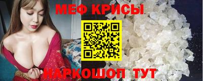 герыч Кингисепп