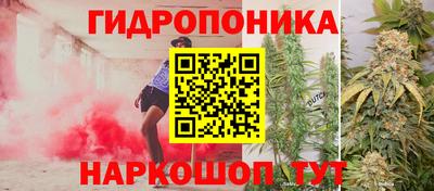 марихуана Камышлов